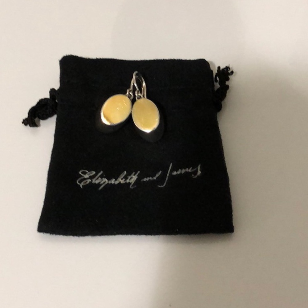 🌈Spring Cleaning Elizabeth & James silver earring